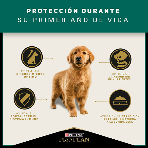 Purina Pro Plan Puppy Razas Medianas