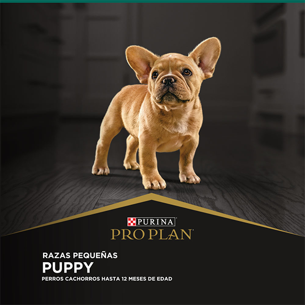 Purina Pro Plan Puppy Razas Pequeñas