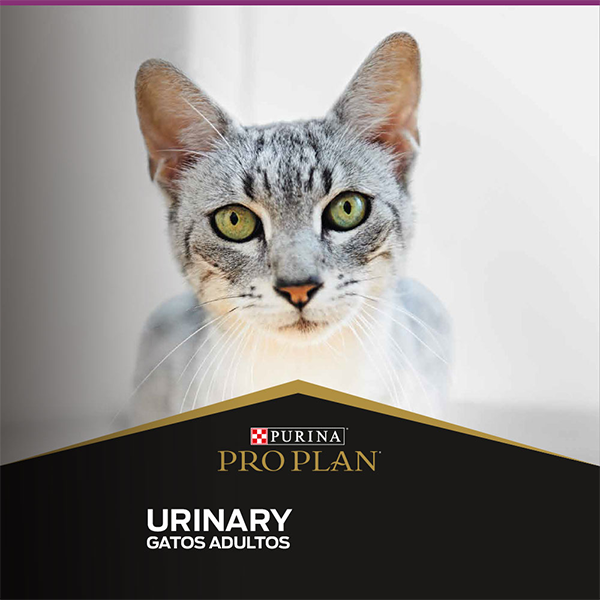 Purina Pro Plan Urinary Gato Adulto