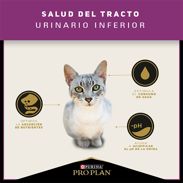 Purina Pro Plan Urinary Gato Adulto