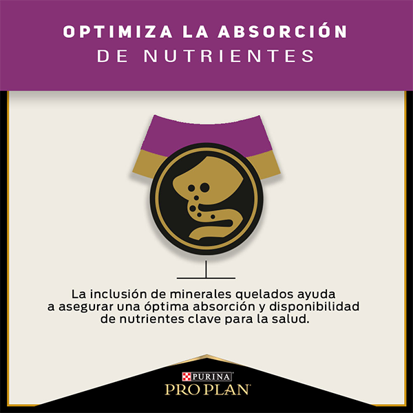 Purina Pro Plan Urinary Gato Adulto