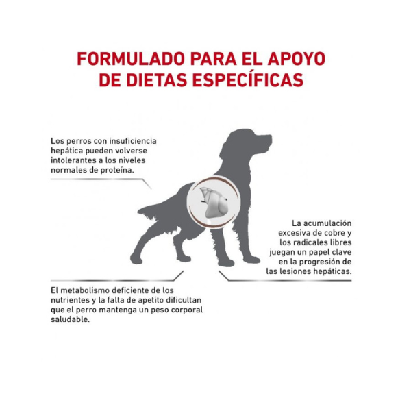 Royal Canin Hepatic Perro