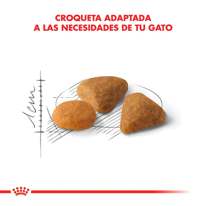 Royal Canin Gato Exigent