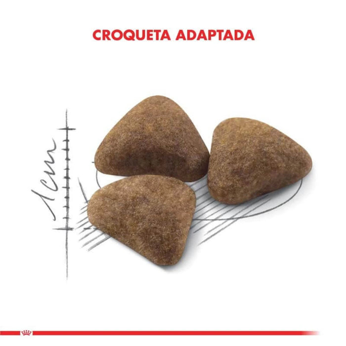 Royal Canin Gato Indoor