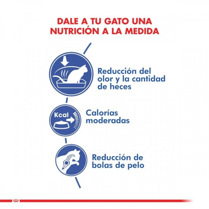 Royal Canin Gato Indoor