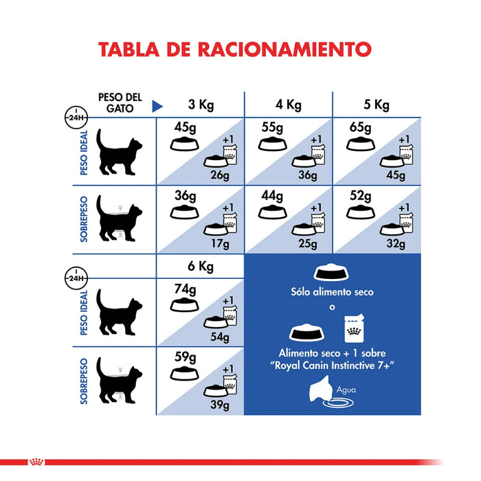 Royal Canin Gato Senior +7 Indoor