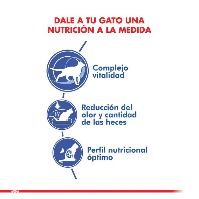 Royal Canin Gato Senior +7 Indoor