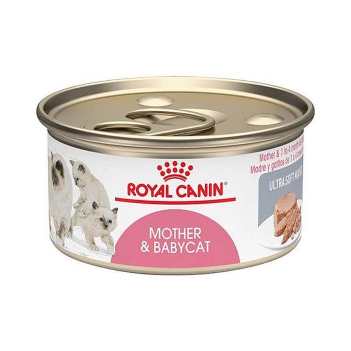 Royal Canin Lata Mother & Babycat Gato