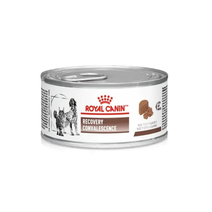 Royal Canin Lata Recovery Perros y Gatos
