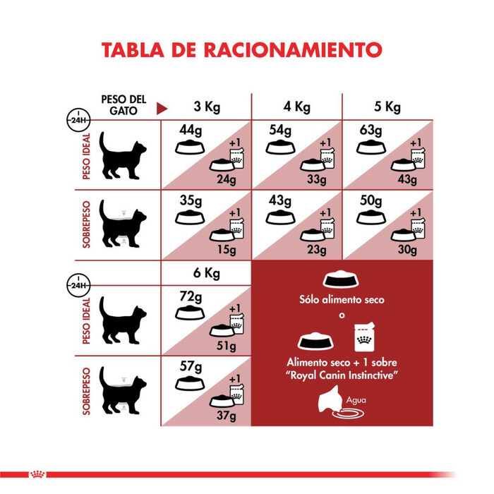 Royal Canin Regular Fit Gato