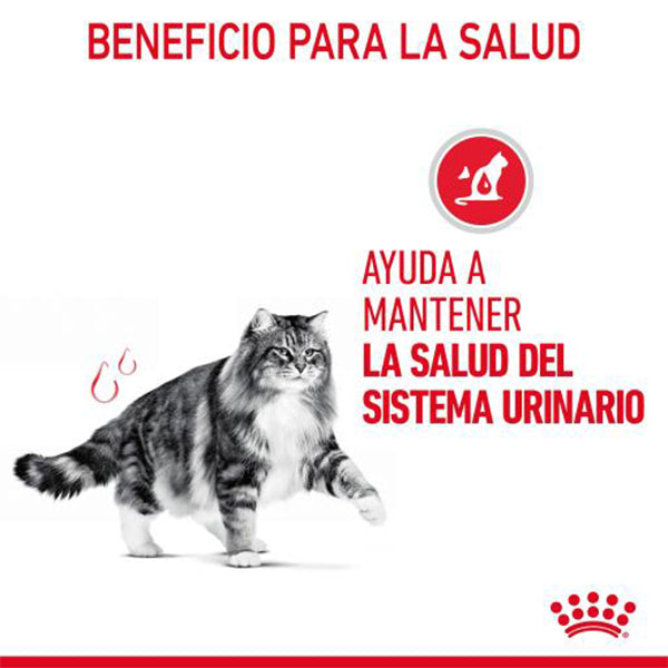 Royal Canin Urinary Care Gato Adulto