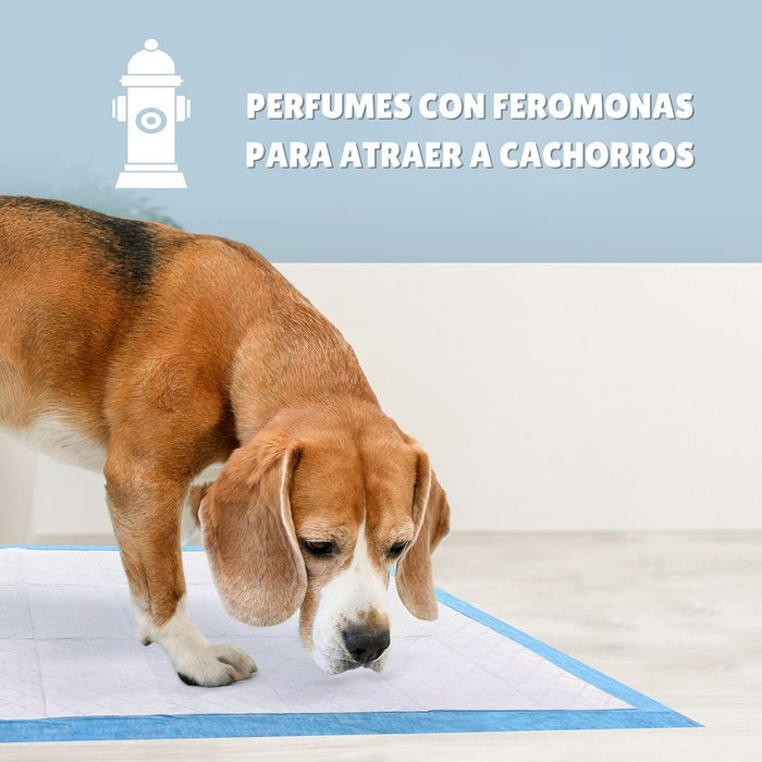 Sabanillas para Perros Aroma Manzana