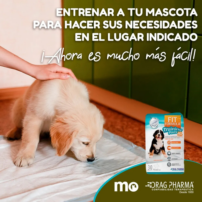 Sabanillas XL para Perros Fit Formula