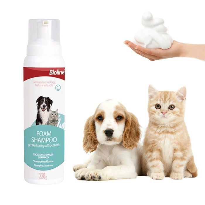 Shampoo en Espuma Seca Bioline para Perros y Gatos