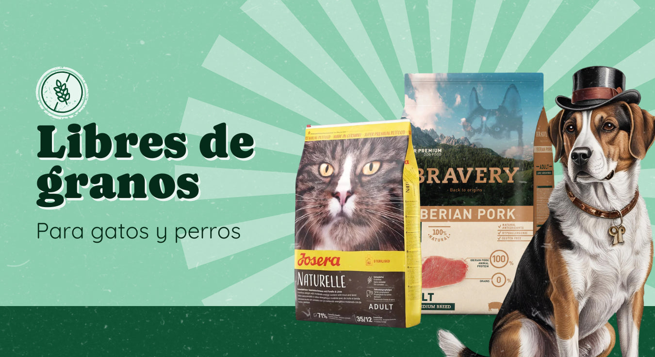 Categoría Libre de granos