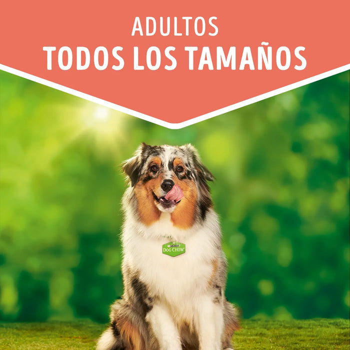 Snack Dog Chow Adultos Todas las Razas con Pollo