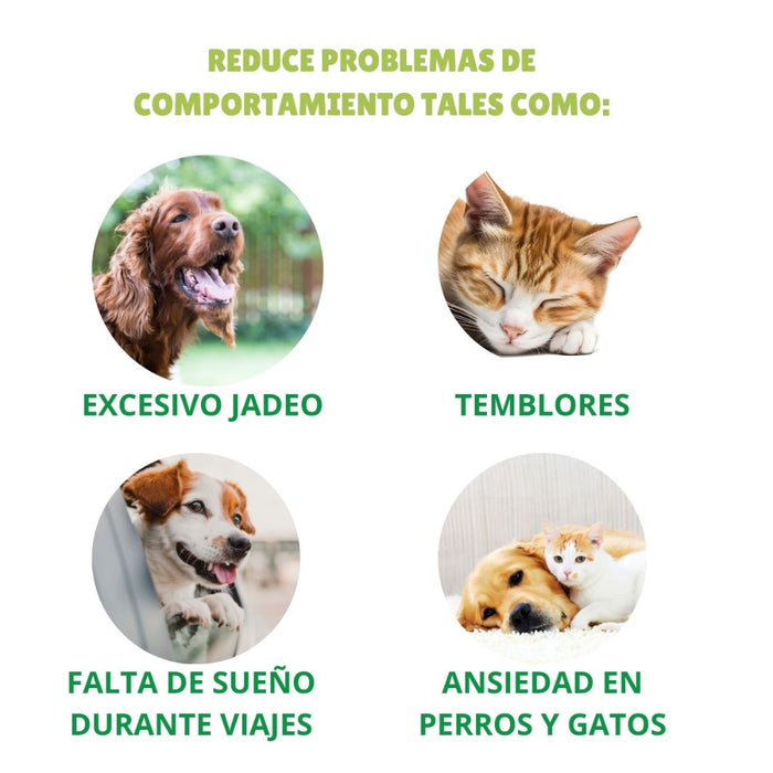 Spray Calmante para Perros y Gatos Bioline