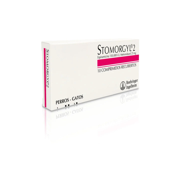 Stomorgyl 2