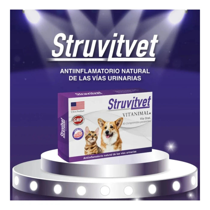 Struvitvet