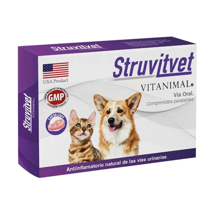 Struvitvet