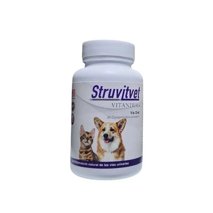 Struvitvet