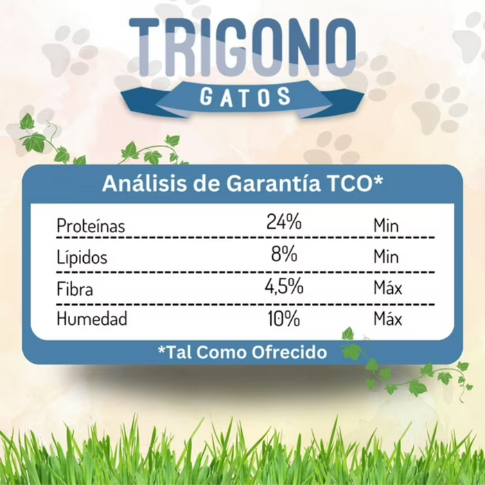 Trigono Gato