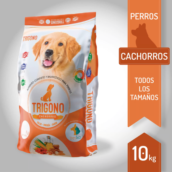 Trigono Perro Cachorro