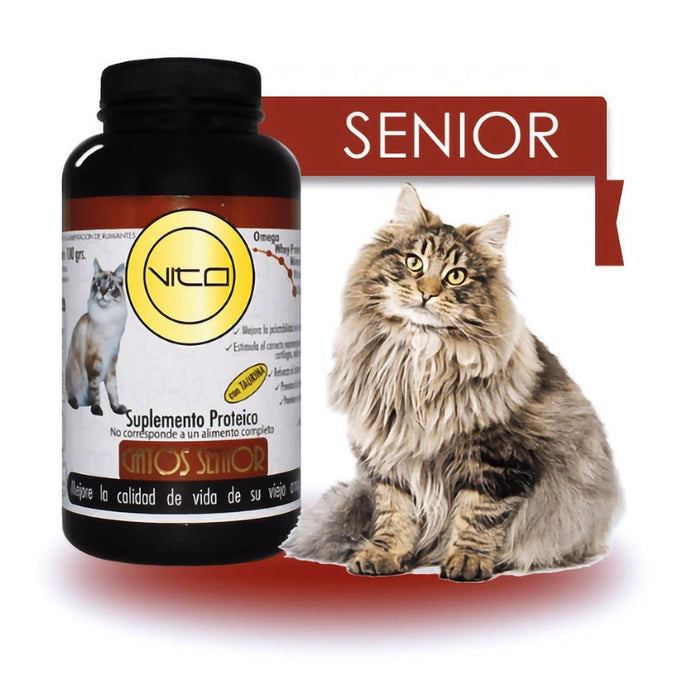 Vito Gato Senior