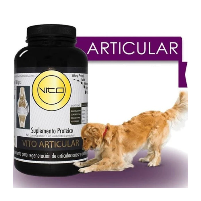 Vito Perro Articular