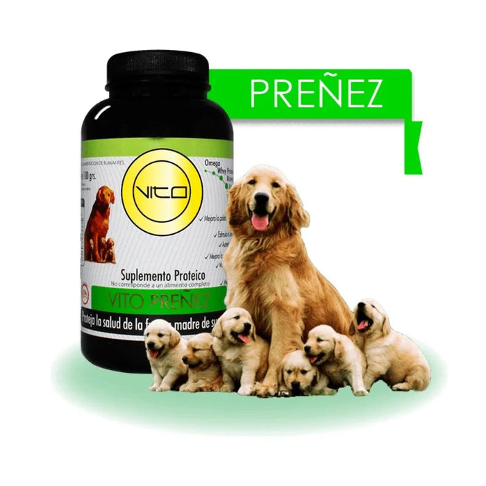Vito Perro Preñez