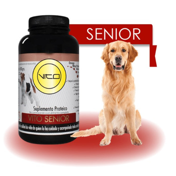Vito Perro Senior