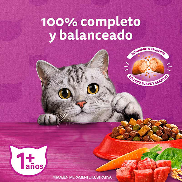 Whiskas Carne para gatos