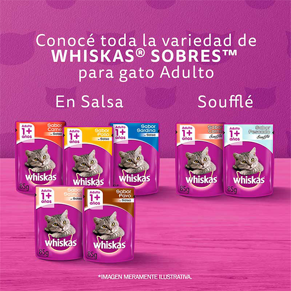 Whiskas Gatos adultos, sabor Pescado