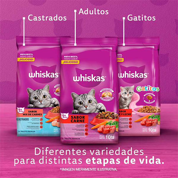 Whiskas Gatitos, sabor carne y leche