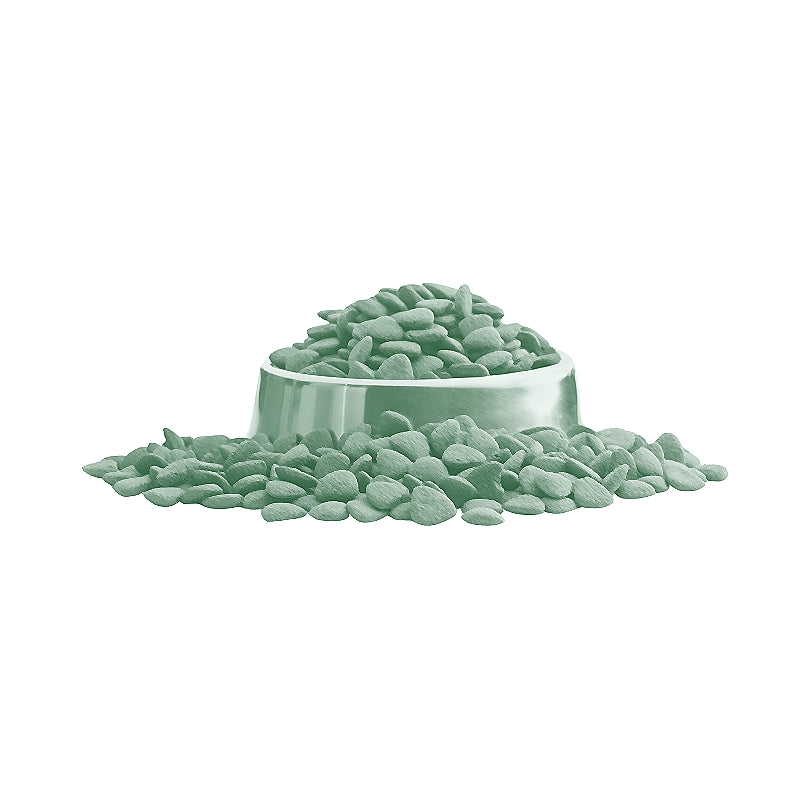 alimento para gatos