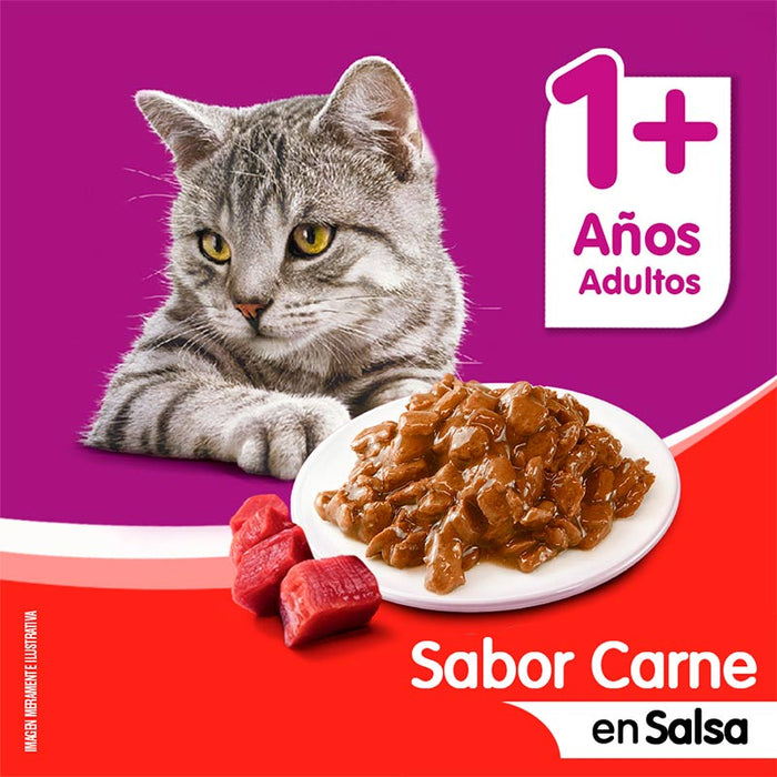 Sobre Carne en salsa Whiskas Alimento Húmedo - Gato Adulto