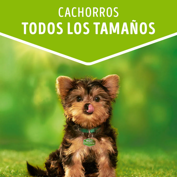 Snack Dog Chow Cachorros Todas las Razas con Carne