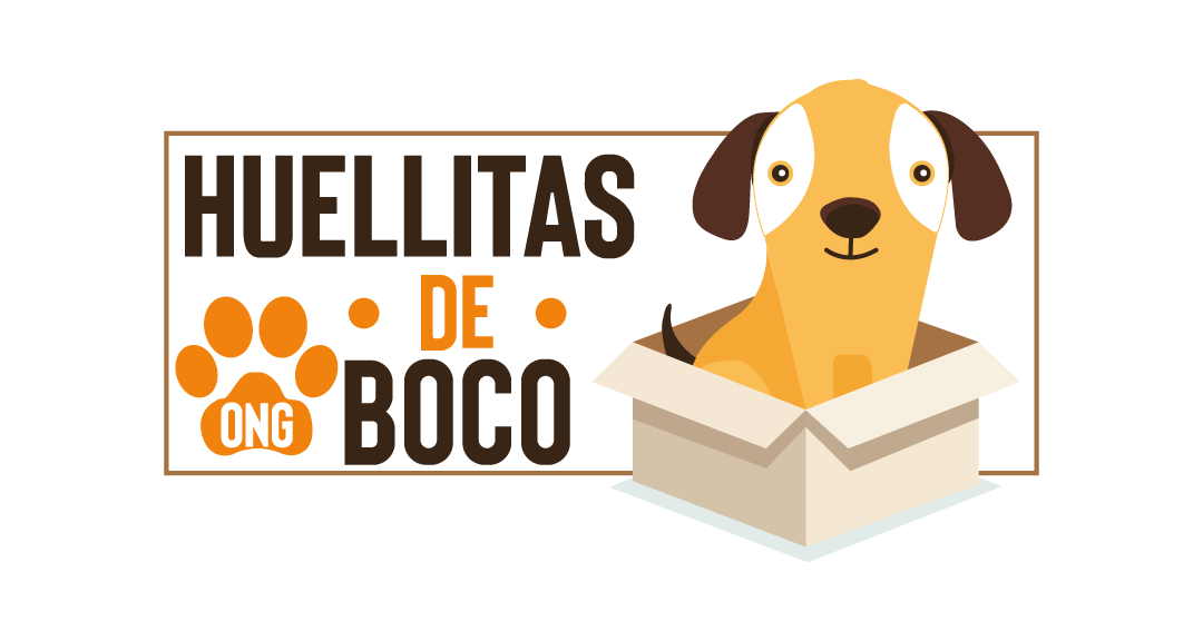 ¿Quiénes son Huellitas de Boco?