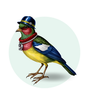 Aves